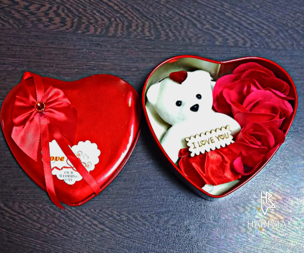 Harivia Chocolate Valentine Edition Chocolate Bar and Rose Teddy Gift Set